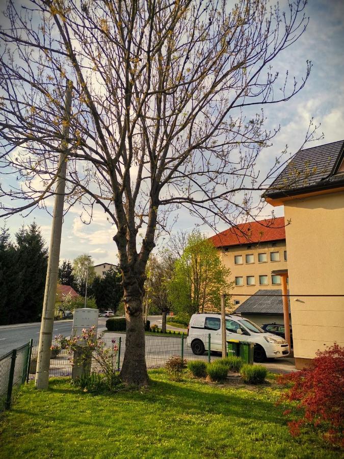 Apartma Vila Tara Prebold Exteriör bild