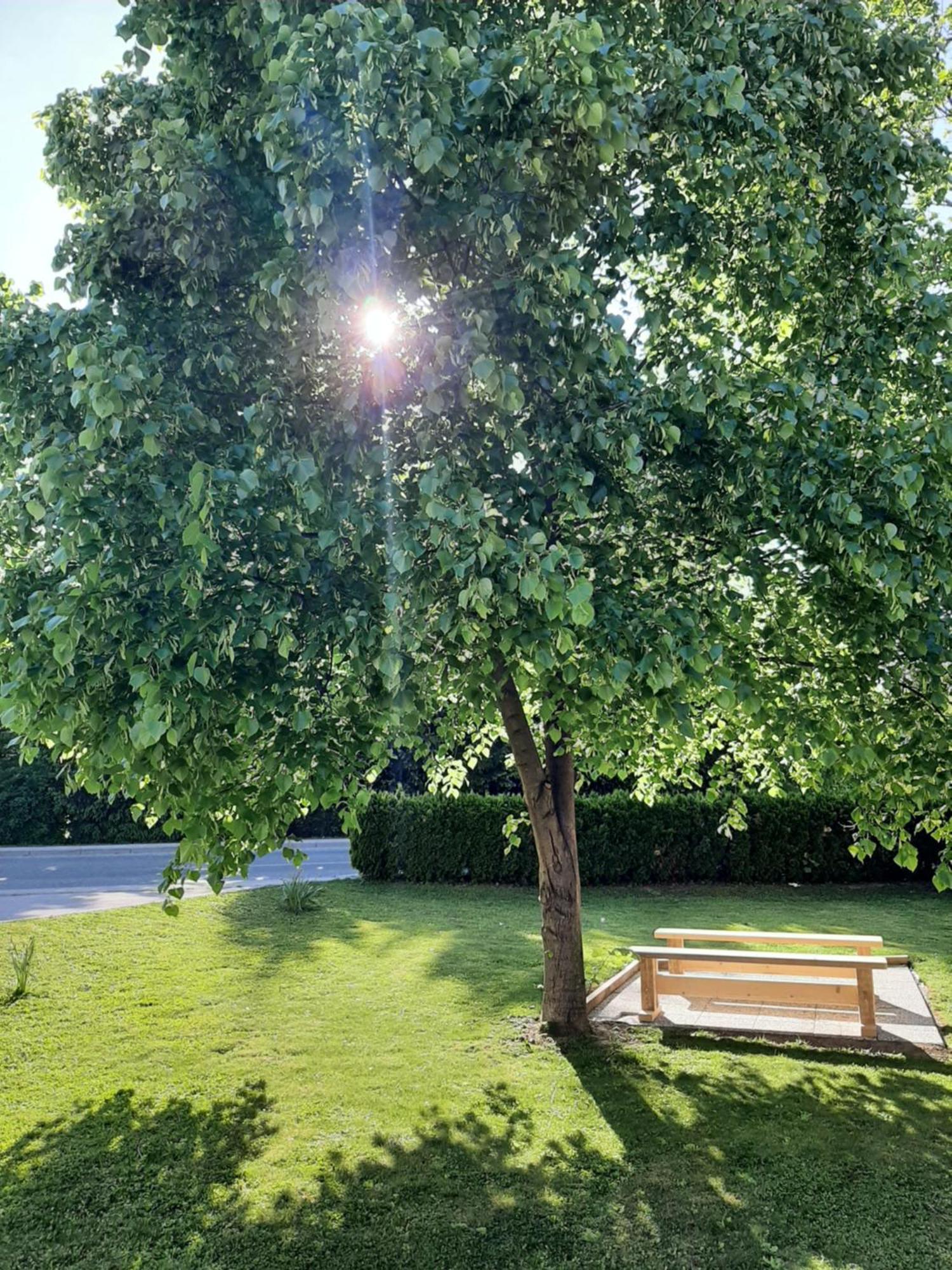 Apartma Vila Tara Prebold Exteriör bild