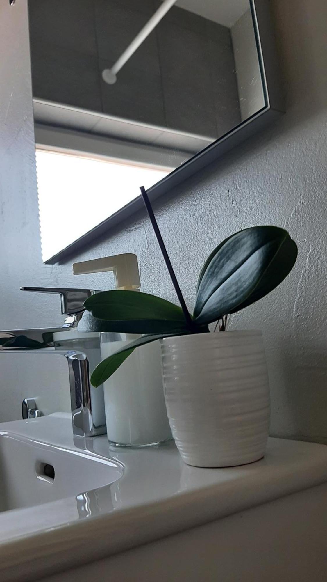 Apartma Vila Tara Prebold Exteriör bild